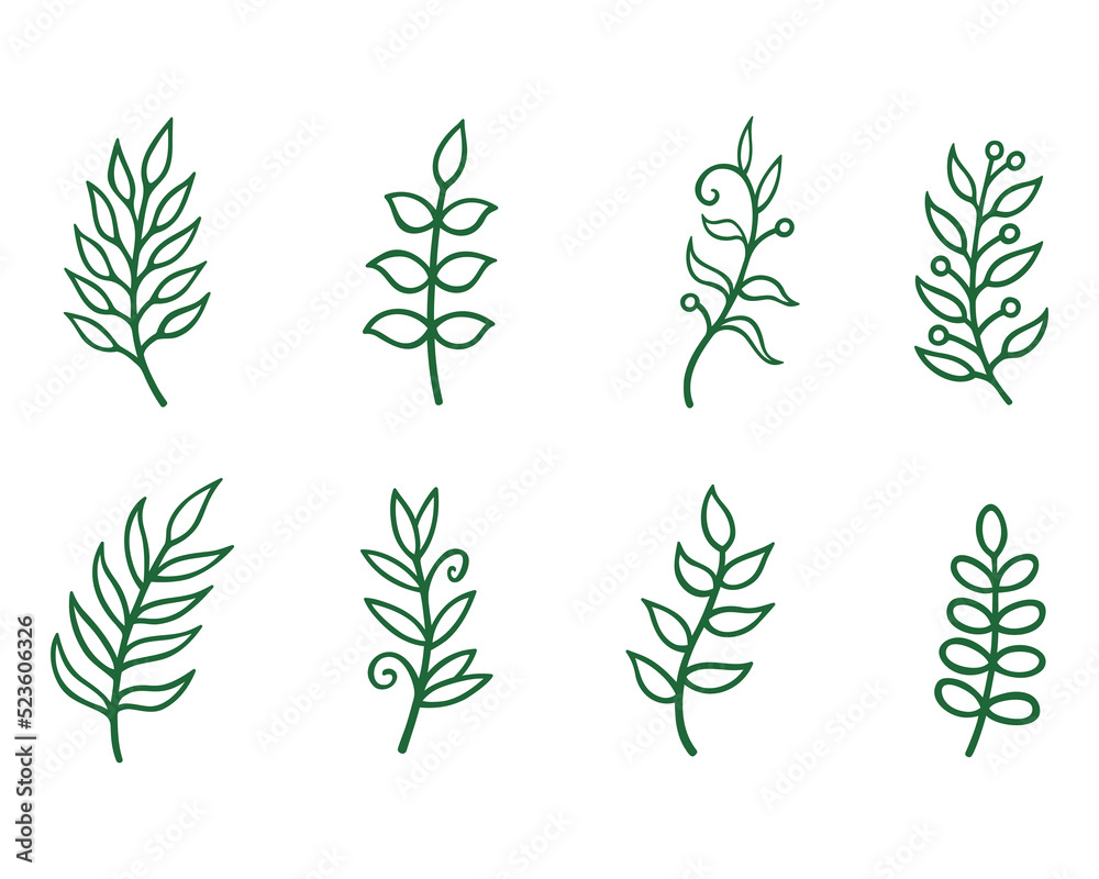 Fototapeta premium Green line floral elements. Wild leaves on white background.