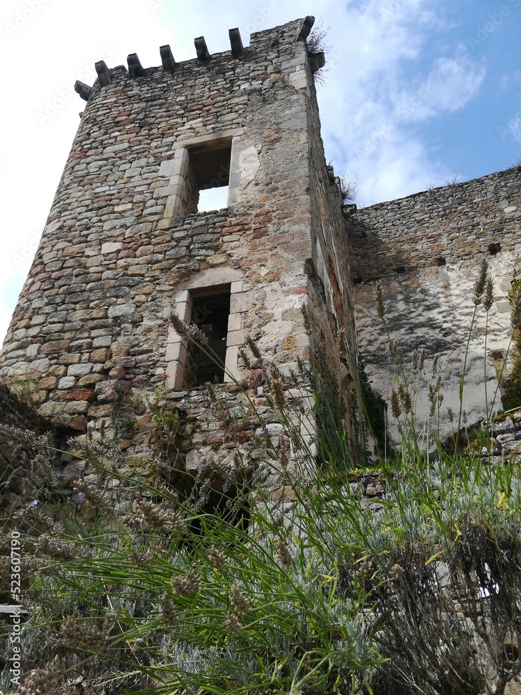 Château de Saint-Martin-Laguépie