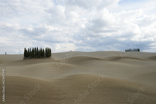 Photography Landscape of Tuscany fields in Italy