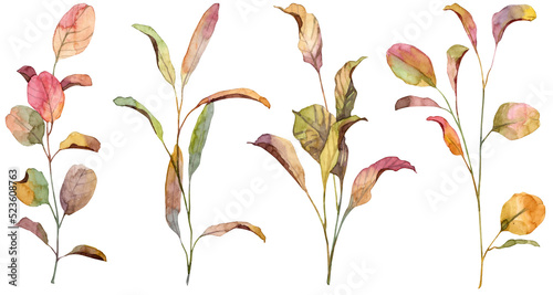 Set of hand painted watercolor autumn leaves. Realistic botany withered colorful leaves on white background photo