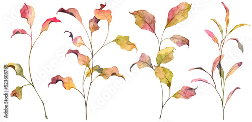 Photos Set of hand painted watercolor autumn leaves