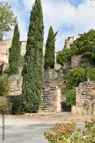 Village médiéval de Milhars