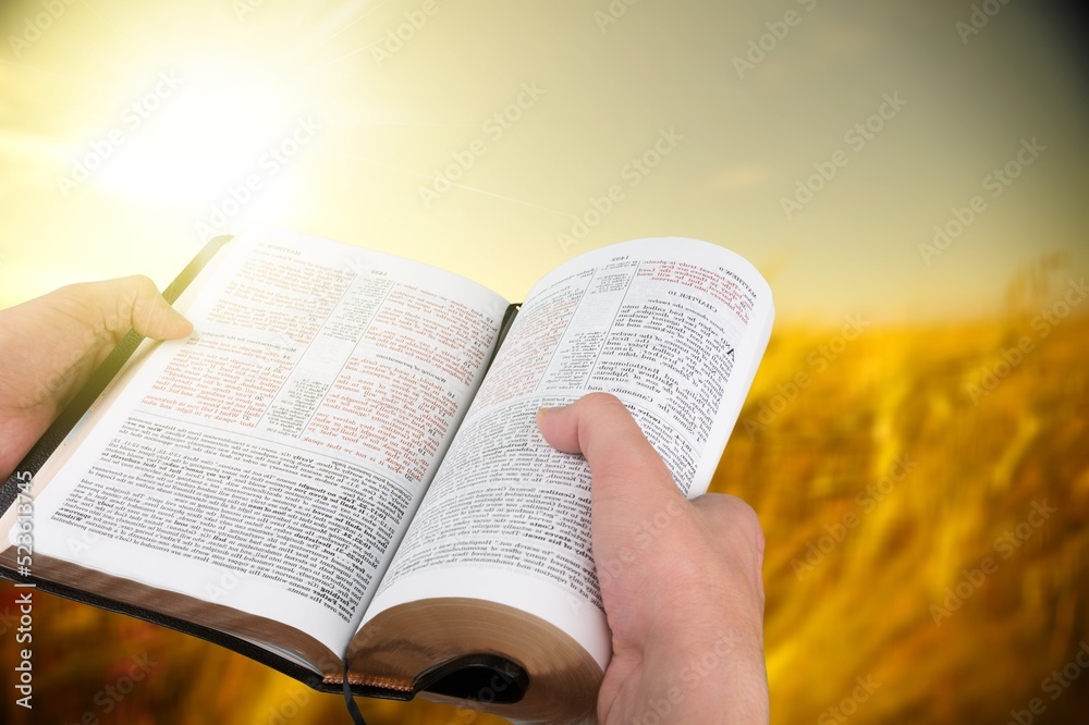 Fototapeta premium Human hand holds a Holy Bible Book on a ripe barley field in the summer harvest season.