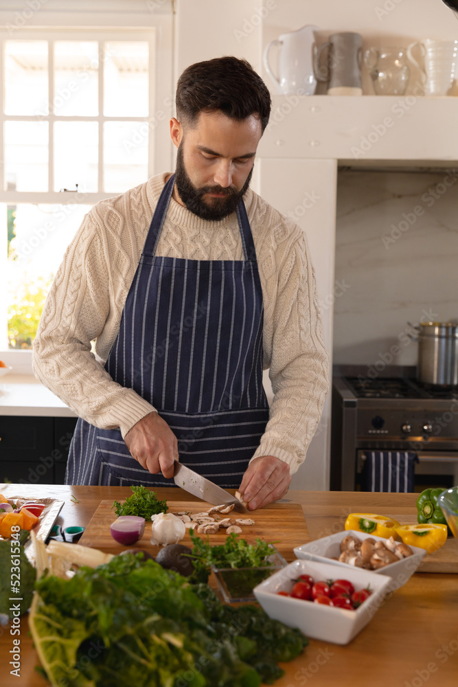 Caucasian man preparing food, concentrating on chopping vegetables, wearing apron in kitchen Caucasian man preparing food, concentrating on chopping vegetables, wearing apron in kitchen