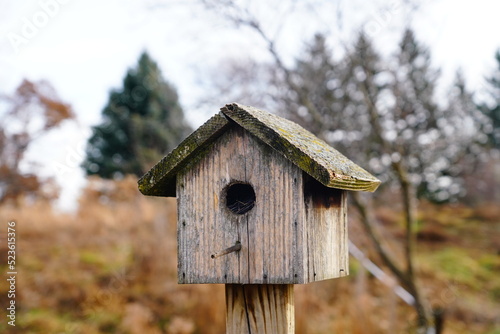Wooden bird houses sit outside during autumn season