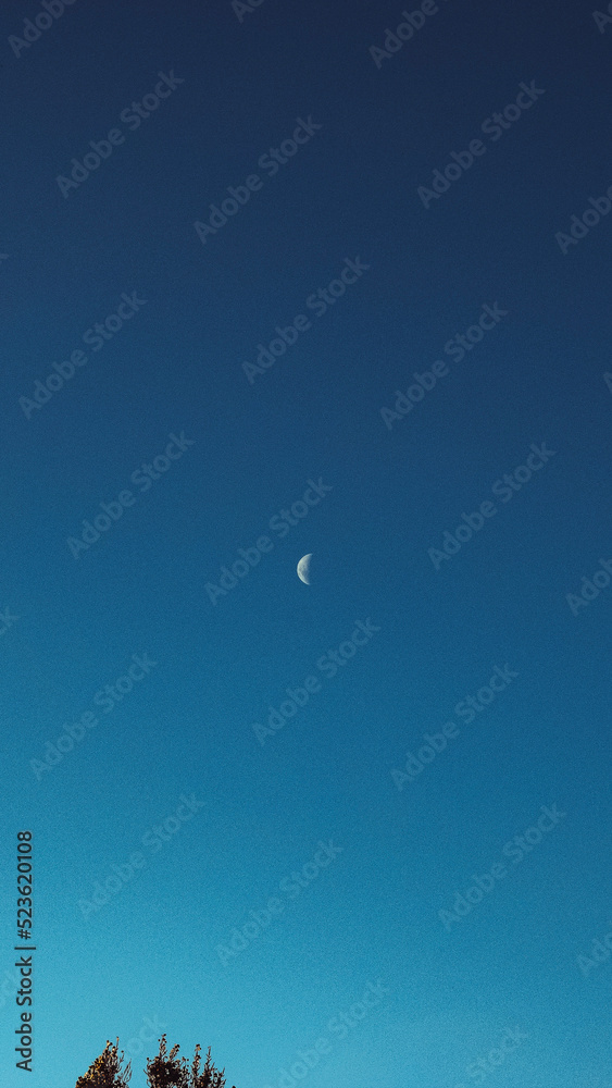 moon in the sky moon in the sky