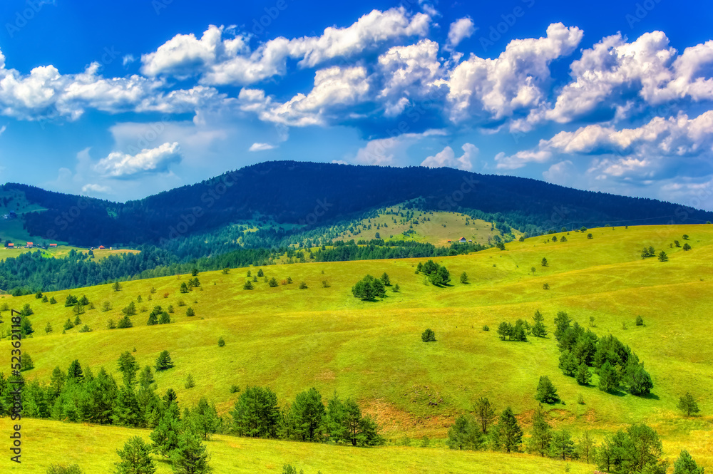 Mountain landscape during summer day at Zlatibor, Serbia.