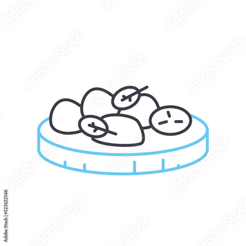 bruschetta line icon, outline symbol, vector illustration, concept sign