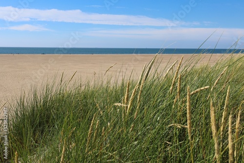 Dünen mit Strandhafer und Blick auf das Meer