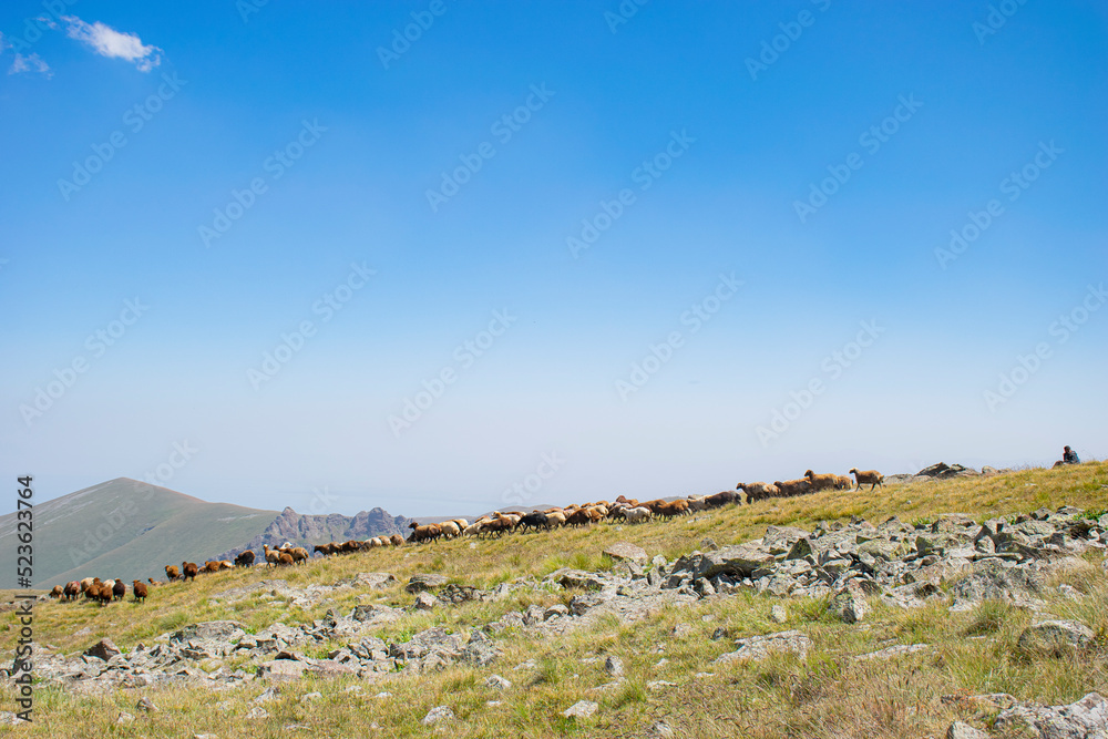 landscape with blue sky and clouds landscape with blue sky and clouds
