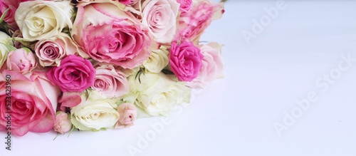 Pink roses in a festive bouquet on a white background. Delicate floral arrangement. Background for a greeting card. © Olirina