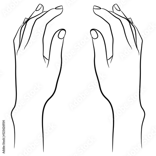 Two beautiful raised up female hands in elegant gesture. Cartoon style. Black and white linear silhouette. Isolated vector illustration.