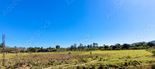 farm landscape on a sunny day with green pasture