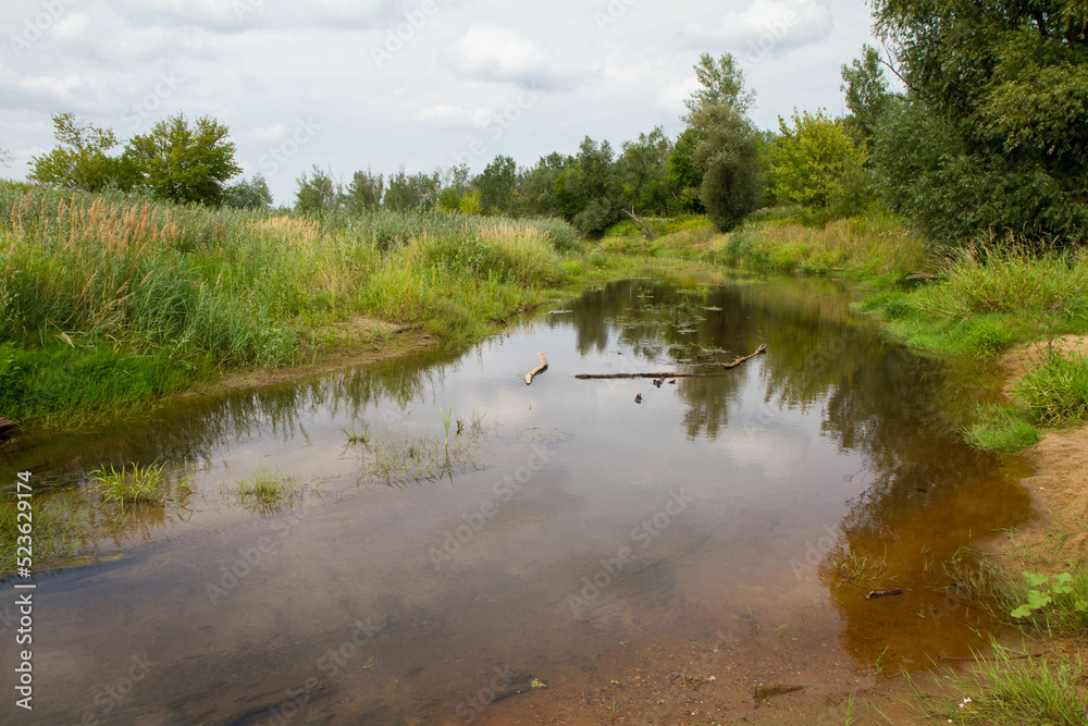 Obraz premium Distributary channel of the river Wisla, Poland