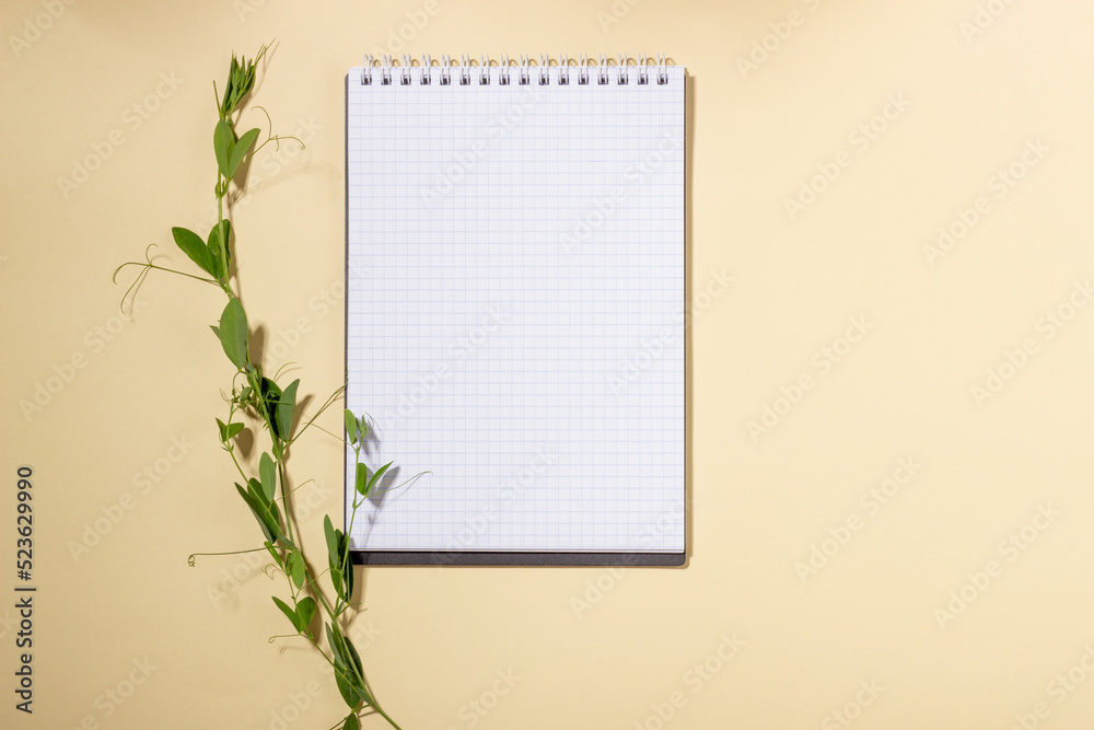 Mockup with blank clean notebook with copy space. Hard sunlight and shadows on a beige background with summer flowers. Template for business layout. Top view, flat lay Mockup with blank clean notebook with copy space. Hard sunlight and shadows on a beige background with summer flowers. Template for business layout. Top view, flat lay