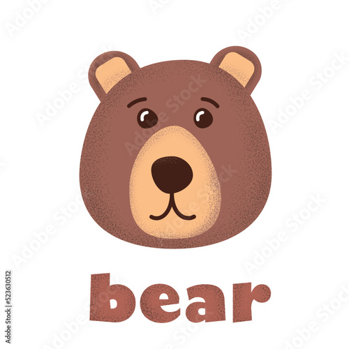 cute cartoon teddy bear illustration