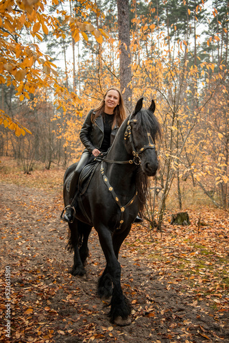 young beautiful smiling woman in black dress riding black Friesian horse in autumn forest with yellow leaves  © Tetatet