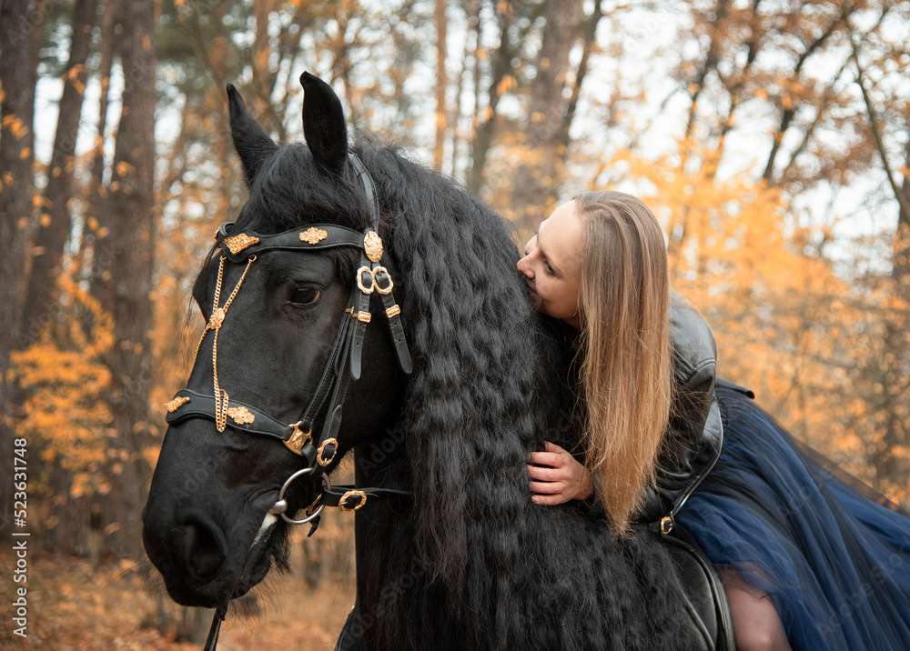 Obraz premium young beautiful smiling woman in long blue skirt kissing black Friesian horse in autumn forest with yellow leaves