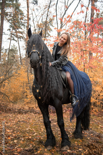 young beautiful smiling woman in long blue skirt riding black Friesian horse  in autumn forest with yellow leaves © Tetatet