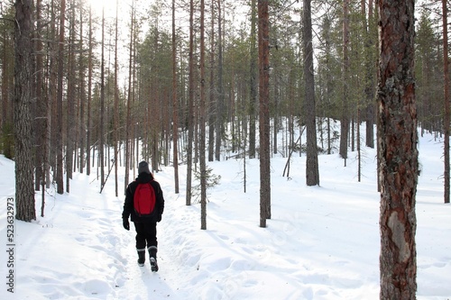 Woman with a red backpack walking in a snowy and sunny pine forest. 