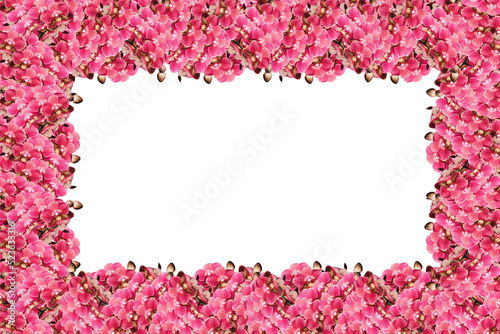 natural frame with a pattern of many orchid flowers