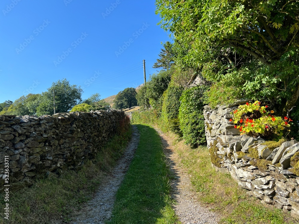 Evening shadows, over a cart track, with dry stone walls, flowers, old trees, and a blue sky near, White Stone Lane, Austwick, UK Evening shadows, over a cart track, with dry stone walls, flowers, old trees, and a blue sky near, White Stone Lane, Austwick, UK