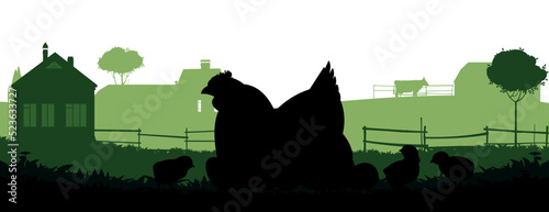 Chickens in pasture. Picture silhouette. Farm pets. Domestic poultry to get eggs. Rural landscape with farmer house. Isolated on white background. Vector