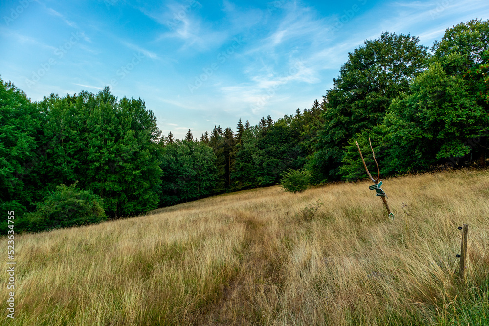Sommerliche Entdeckungstour durch den Thüringer Wald bei Brotterode - Thüringen Sommerliche Entdeckungstour durch den Thüringer Wald bei Brotterode - Thüringen