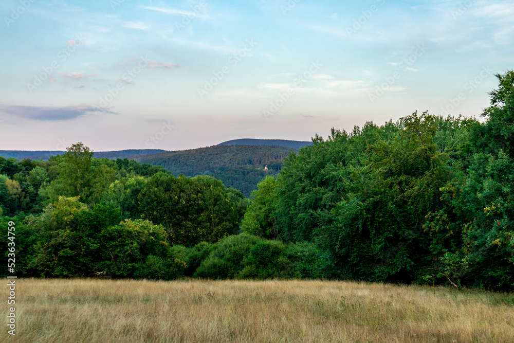 Sommerliche Entdeckungstour durch den Thüringer Wald bei Brotterode - Thüringen