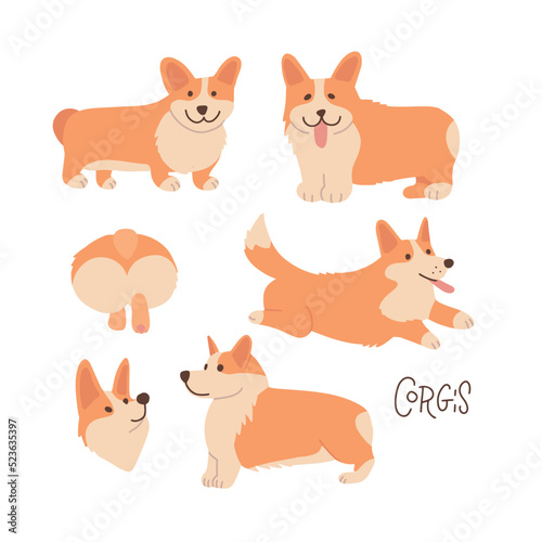 Cute and happy welsh corgi set in different poses. Funny corgis for decoration and design in flat vector cartoon style. © LanaSham