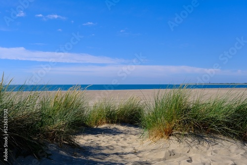 Blick durch die Dünen auf die Nordsee © Karsten
