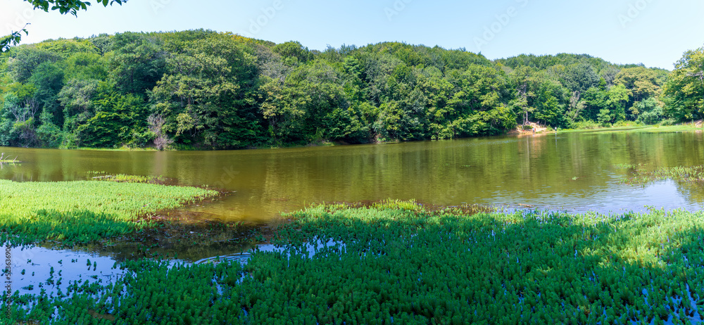 Fototapeta premium Valide Sultan lake in Belgrad Forest in Istanbul. Turkey. Holiday Destinations In Turkey.