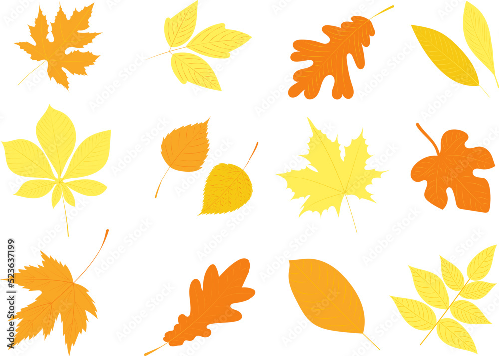set of autumn leaves in flat style, isolated, vector