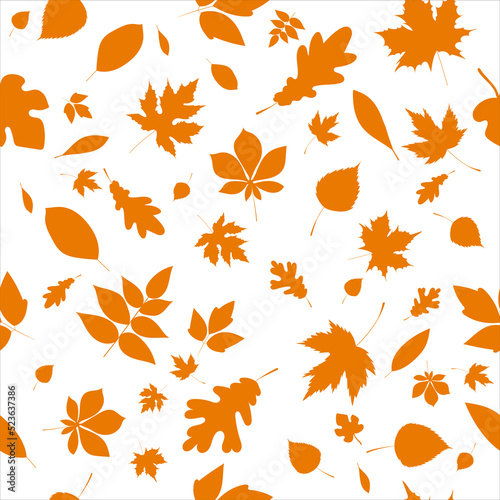 autumn seamless white background with leaves, vector