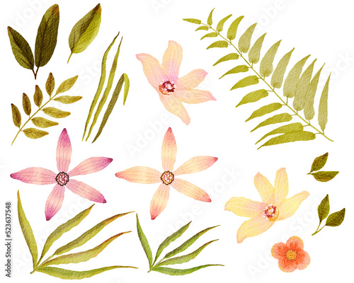 watercolor tropical flowers and leaves