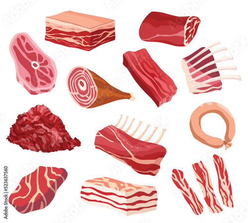 Meat products and raw meat. Illustration for concept product of farmers market or shop. Different kind of meat. Cartoon product icons