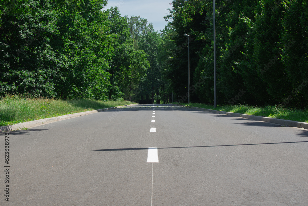 Obraz premium Highway through summer park forest. Bright green foliage of the trees beside of an asphalt road going in the upward.