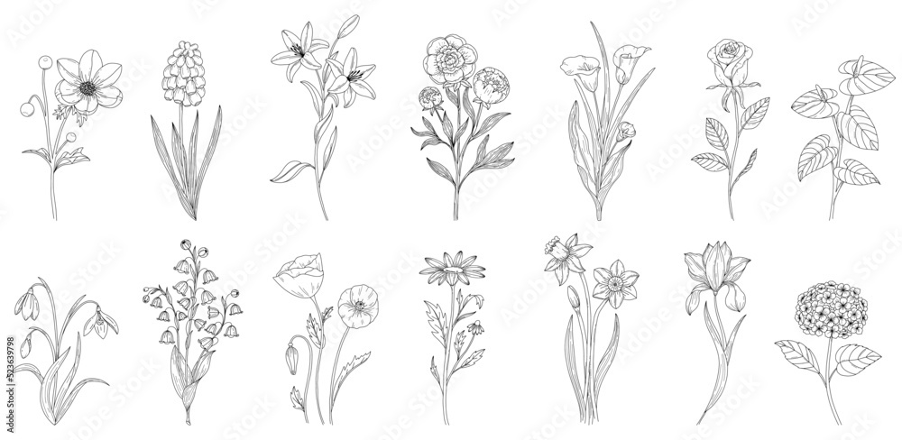 Set abstract elegant line art flower and leaf. Continuous boho line art silhouette of floral artwork Set abstract elegant line art flower and leaf. Continuous boho line art silhouette of floral artwork