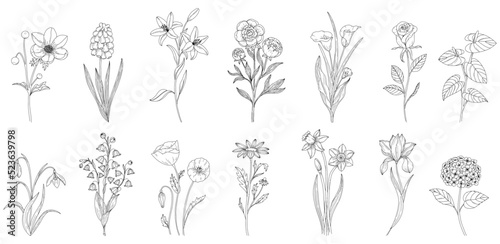 Set abstract elegant line art flower and leaf. Continuous boho line art silhouette of floral artwork