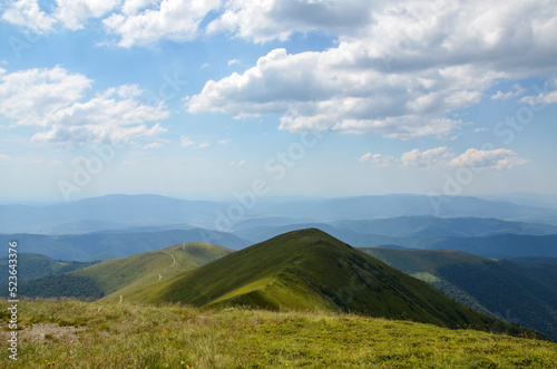 Beautiful summer panoramic landscape, green grassy slopes with wild herbs and flowers on Borzhava mountain ridge in summer. Carpathians, Ukraine