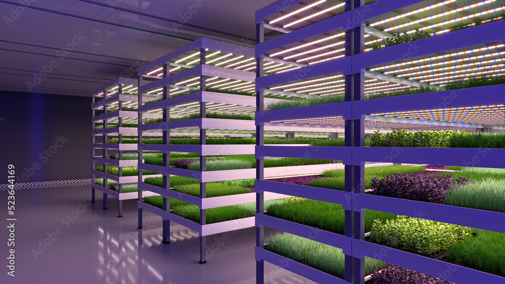 Indoor vertical farm. Hydroponic microgreens plant factory. Plants grow  with led lights. Sustainable agriculture for future food. 3d illustration.  Illustration Stock | Adobe Stock