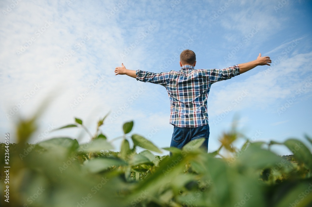 Young farmer in soybean fields Young farmer in soybean fields