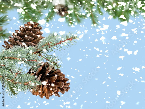 Christmas tree branch with cone on snowy blue bakcground copy space template banner
