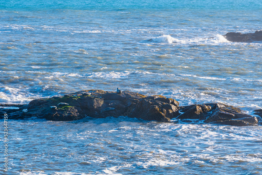 Obraz premium Stokksnes unglaubliche Schönheit, zwischen Meer und Vestrahorn Bergen