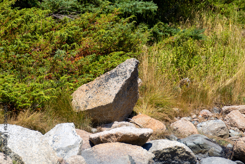rocks on a shoreline