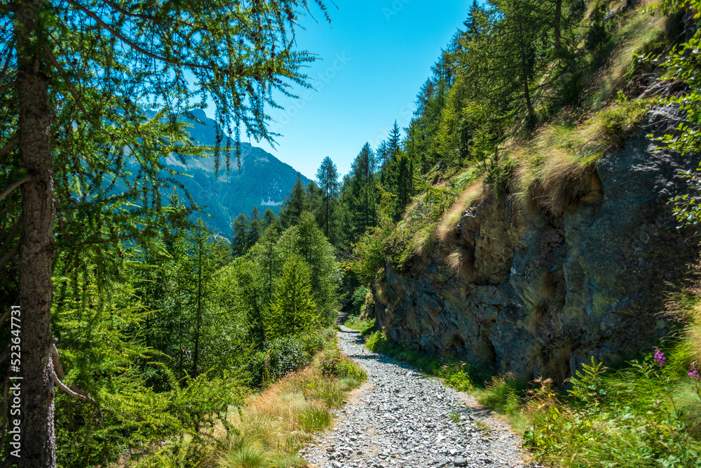 Beautiful aosta valley, italy, in summer