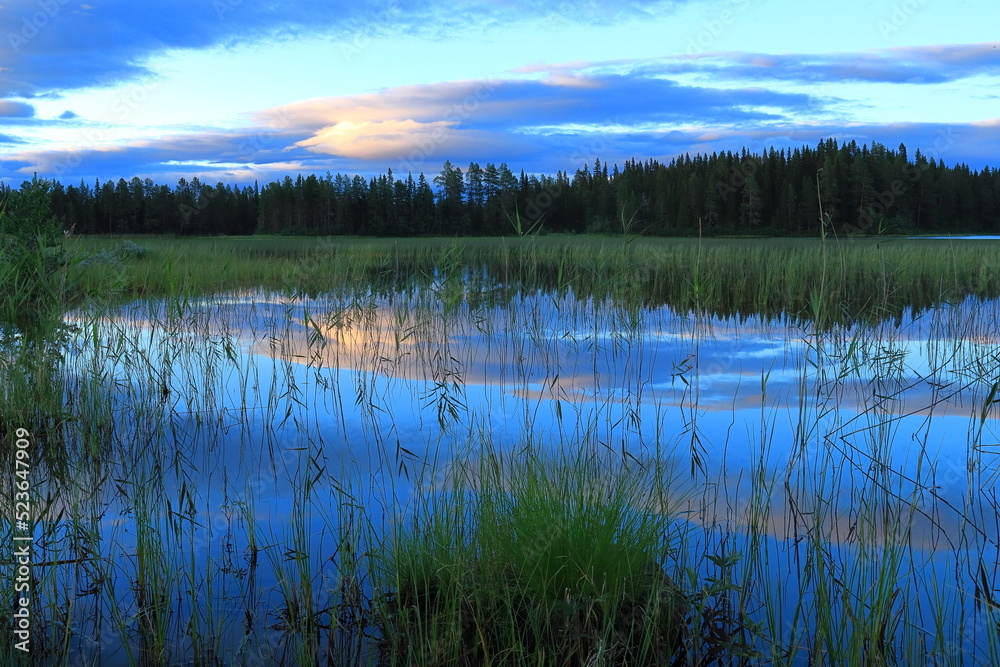 Summer lake with plenty of reed. Cloudy sky one evening. Reflection in the water. Krokom, Jämtland, Sweden, Europe.