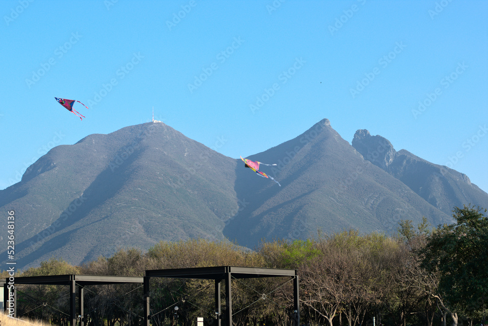 Fototapeta premium Flying kites in the park with mountains in the background
