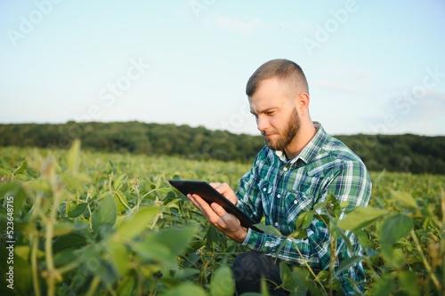 Young agronomist holds tablet touch pad computer in the soy field and examining crops before harvesting. Agribusiness concept. agricultural engineer standing in a soy field with a tablet in summer.