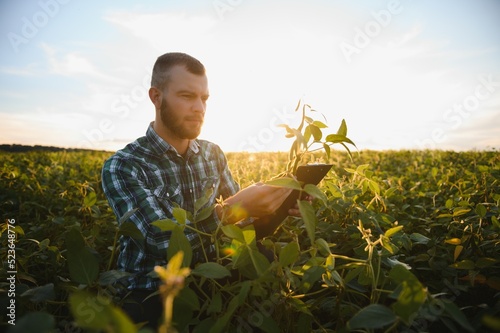 Fotografie, Obraz Agronomist inspects soybean crop in agricultural field - Agro concept - farmer i